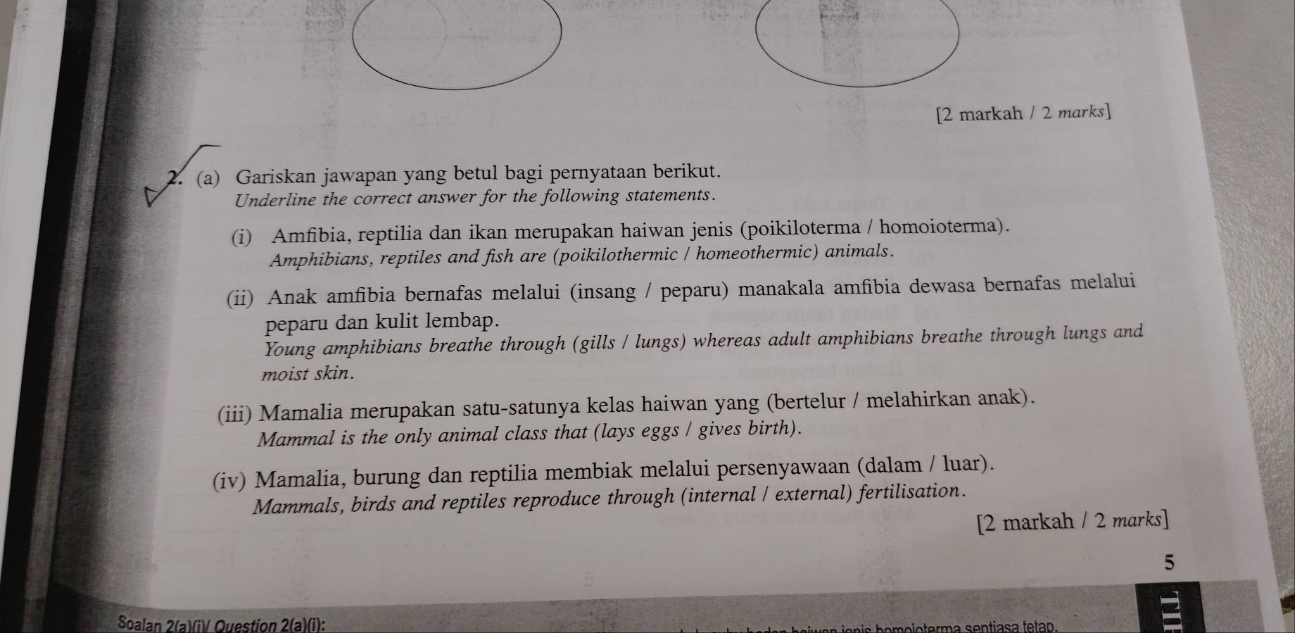 [2 markah / 2 marks] 
2. (a) Gariskan jawapan yang betul bagi pernyataan berikut. 
Underline the correct answer for the following statements. 
(i) Amfibia, reptilia dan ikan merupakan haiwan jenis (poikiloterma / homoioterma). 
Amphibians, reptiles and fish are (poikilothermic / homeothermic) animals. 
(ii) Anak amfìbia bernafas melalui (insang / peparu) manakala amfibia dewasa bernafas melalui 
peparu dan kulit lembap. 
Young amphibians breathe through (gills / lungs) whereas adult amphibians breathe through lungs and 
moist skin. 
(iii) Mamalia merupakan satu-satunya kelas haiwan yang (bertelur / melahirkan anak). 
Mammal is the only animal class that (lays eggs / gives birth). 
(iv) Mamalia, burung dan reptilia membiak melalui persenyawaan (dalam / luar). 
Mammals, birds and reptiles reproduce through (internal / external) fertilisation. 
[2 markah / 2 marks] 
5 
Soalan 2(a)(i)/ Question 2(a)(i): 
homoioterma sentiasa tetap.