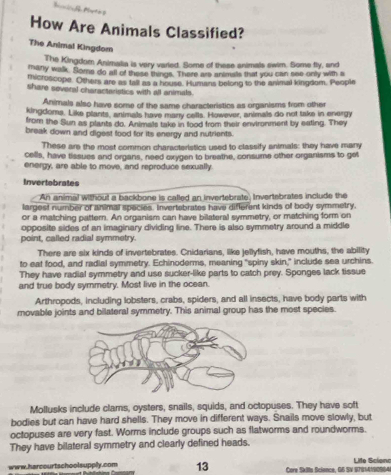 How Are Animals Classified? 
The Animal Kingdom 
The Kingdom Animalia is very varied. Some of these animals swim. Some tly, and 
many walk. Some do all of these things. There are animals that you can see only with a 
microscope. Others are as tall as a house. Humans belong to the animal kingdom. People 
share several charactaristics with all animals. 
Animals also have some of the same characteristics as organisms from other 
kingdoms. Like plants, animals have many cells. However, animals do not take in energy 
from the Sun as plants do. Animals take in food from their environment by eating. They 
break down and digest food for its energy and nutrients. 
These are the most common characteristics used to classify animals: they have many 
cells, have tissues and organs, need oxygen to breathe, consume other organisms to get 
energy, are able to move, and reproduce sexually. 
Invertebrates 
An animal without a backbone is called an invertebrate, Invertebrates include the 
largest number of animal species. Invertebrates have different kinds of body symmetry. 
or a matching pattern. An organism can have bilateral symmetry, or matching form on 
opposite sides of an imaginary dividing line. There is also symmetry around a middle 
point, called radial symmetry. 
There are six kinds of invertebrates. Cnidarians, like Jellyfish, have mouths, the ability 
to eat food, and radial symmetry. Echinoderms, meaning "spiny skin," include sea urchins. 
They have radial symmetry and use sucker-like parts to catch prey. Sponges lack tissue 
and true body symmetry. Most live in the ocean. 
Arthropods, including lobsters, crabs, spiders, and all insects, have body parts with 
movable joints and bilateral symmetry. This animal group has the most species. 
Mollusks include clams, oysters, snails, squids, and octopuses. They have soft 
bodies but can have hard shells. They move in different ways. Snails move slowly, but 
octopuses are very fast. Worms include groups such as flatworms and roundworms. 
They have bilateral symmetry and clearly defined heads. 
13 
Life Scienc 
www.harcourtschoolsupply.com Core Skills Science, G6 SV 97814190984