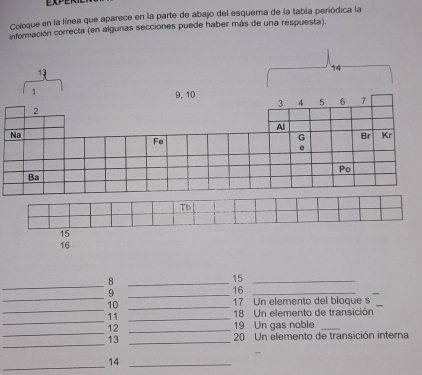 Coloque en la línea que aparece en la parte de abajo del esquema de la tabía periódica la 
información correcta (en algunas secciones puede haber más de una respuesta). 
13
14
16
_ 
_8
15 _ 
_ 
9 
_ 
16_ 
_ 
10 _17 Un elemento del bloque s 
_ 
11 _ 18 Un elemento de transición 
_ 
12 _19 Un gas noble_ 
_ 
13 _ 20 Un elemento de transición interna 
_ 
14_