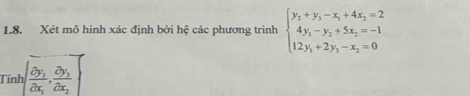 Xét mô hình xác định bởi hệ các phương trình beginarrayl y_2+y_3-x_3+4x_2=2 4y_1-y_2+5x_2=-1 12y_1+2y_3-x_2=0endarray.
Tính (frac partial y_1partial x_1,frac partial y_2partial x_2)^2