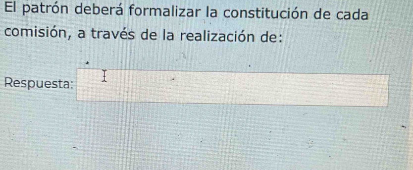 El patrón deberá formalizar la constitución de cada 
comisión, a través de la realización de: 
Respuesta: □