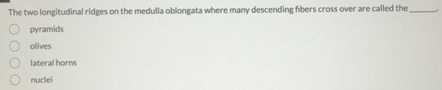 Solved: The two longitudinal ridges on the medulla oblongata where many ...