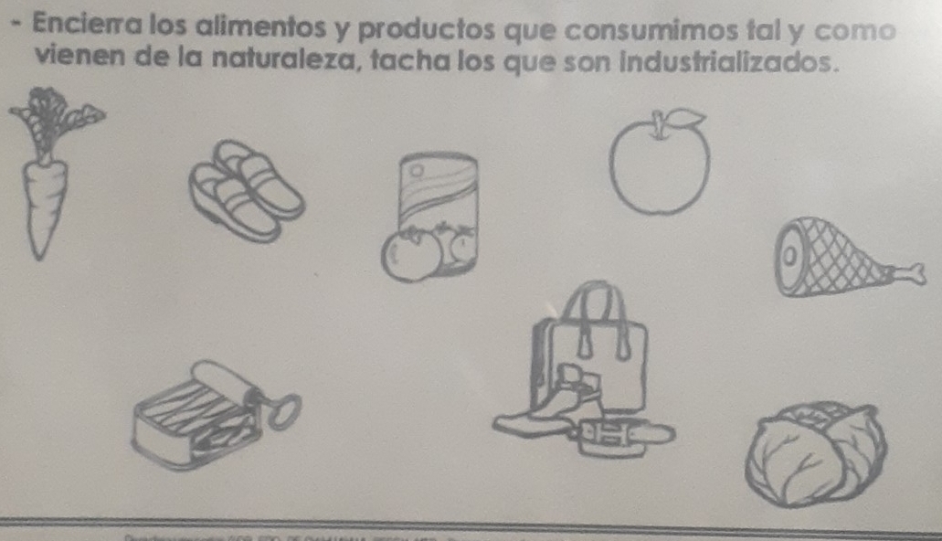 Encierra los alimentos y productos que consumimos tal y como 
vienen de la naturaleza, tacha los que son industrializados. 
0