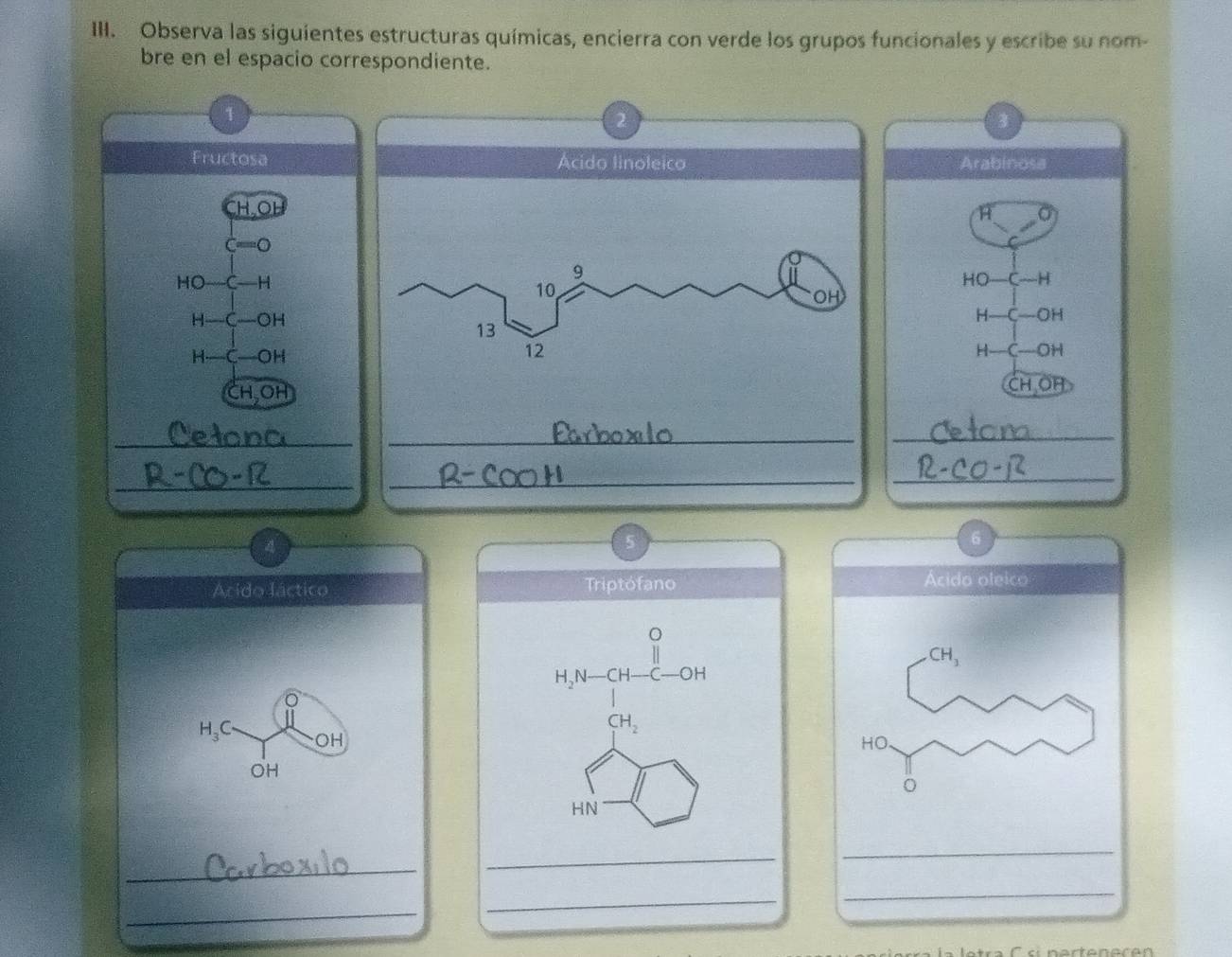 Observa las siguientes estructuras químicas, encierra con verde los grupos funcionales y escribe su nom- 
bre en el espacio correspondiente. 
1 
3 
FructosaArabinosa 
H. OH
H a^=bigcirc
HO—C—H
HO C—H
H- C—OH
H- OH
H—C—OH H -C-OH
CH, OH CH, OH
_ 
_ 
_ 
4 
6 
Acido láctico Triptófano 
Acido oleico
CH_3
H_2 -C-O
CH_2
H_3C OH
HO.
OH
HN 
_ 
_ 
_ 
_ 
_ 
_ 
si nertener e n