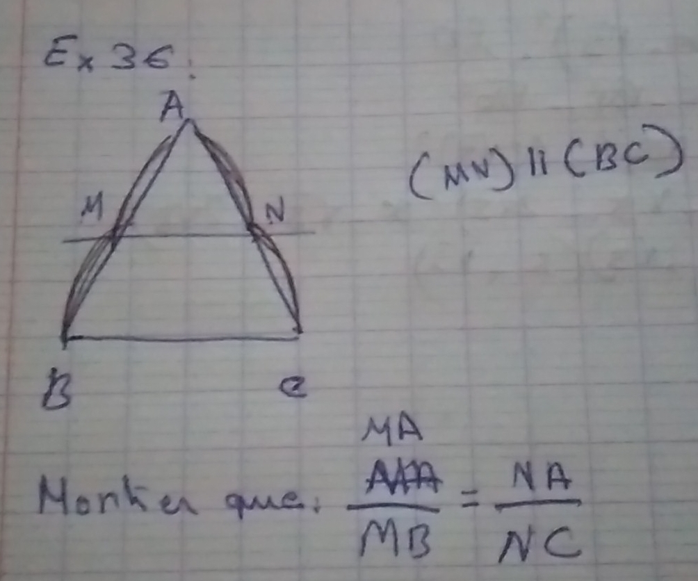 E* 36
(MV)parallel (BC)
MA 
Monken que.  AA/MB = NA/NC 