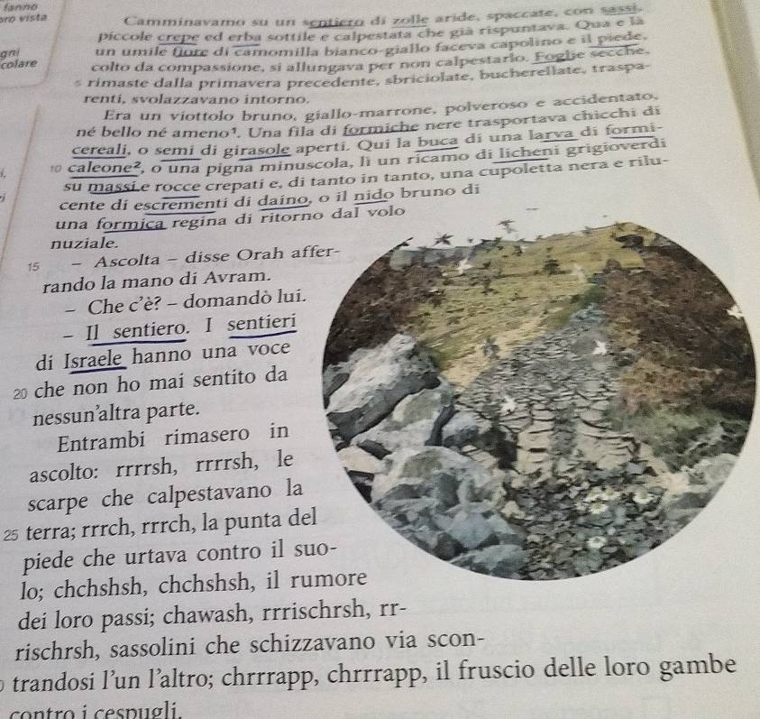 fanno
aro vista Camminavamo su un sentiero di zolle aride, spaccate, con sassi.
píccole crepe ed erba sottile e calpestata che gia rispuntava. Qua e la
gni un umile fiure di camomilla bianco-giallo faceva capolino e il piede.
colare colto da compassione, si allungava per non calpestario. Foglie secche.
rimaste dalla primavera precedente, sbriciolate, bucherellate, traspa-
renti, svolazzavano intorno.
Era un viottolo bruno, giallo-marrone, polveroso e accidentato,
né bello né ameno¹. Una fila di formiche nere trasportava chicchi di
cereali, o semi di girasole aperti. Qui la buca di una larva di formi-
1.  caleone², o una pigna minuscola, li un ricamo di licheni grigioverdi
i su massi e rocce crepati e, di tanto in tanto, una cupoletta nera e rilu-
cente di escrementí di daíno, o il nido bruno di
una formica regina di ritor
nuziale.
15 − Ascolta - disse Orah a
rando la mano di Avram.
- Che c’è? - domandò lui
- Il sentiero. I sentieri
di Israele hanno una voce
2 che non ho mai sentito da
nessun’altra parte.
Entrambi rimasero in
ascolto: rrrrsh, rrrrsh, le
scarpe che calpestavano la
25 terra; rrrch, rrrch, la punta d
piede che urtava contro il s
lo; chchshsh, chchshsh, il r
dei loro passi; chawash, rrrischrsh, rr-
rischrsh, sassolini che schizzavano via scon-
trandosi l’un l’altro; chrrrapp, chrrrapp, il fruscio delle loro gambe
contro i cespugli