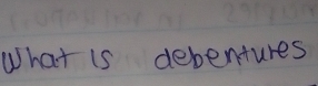 What is debentures