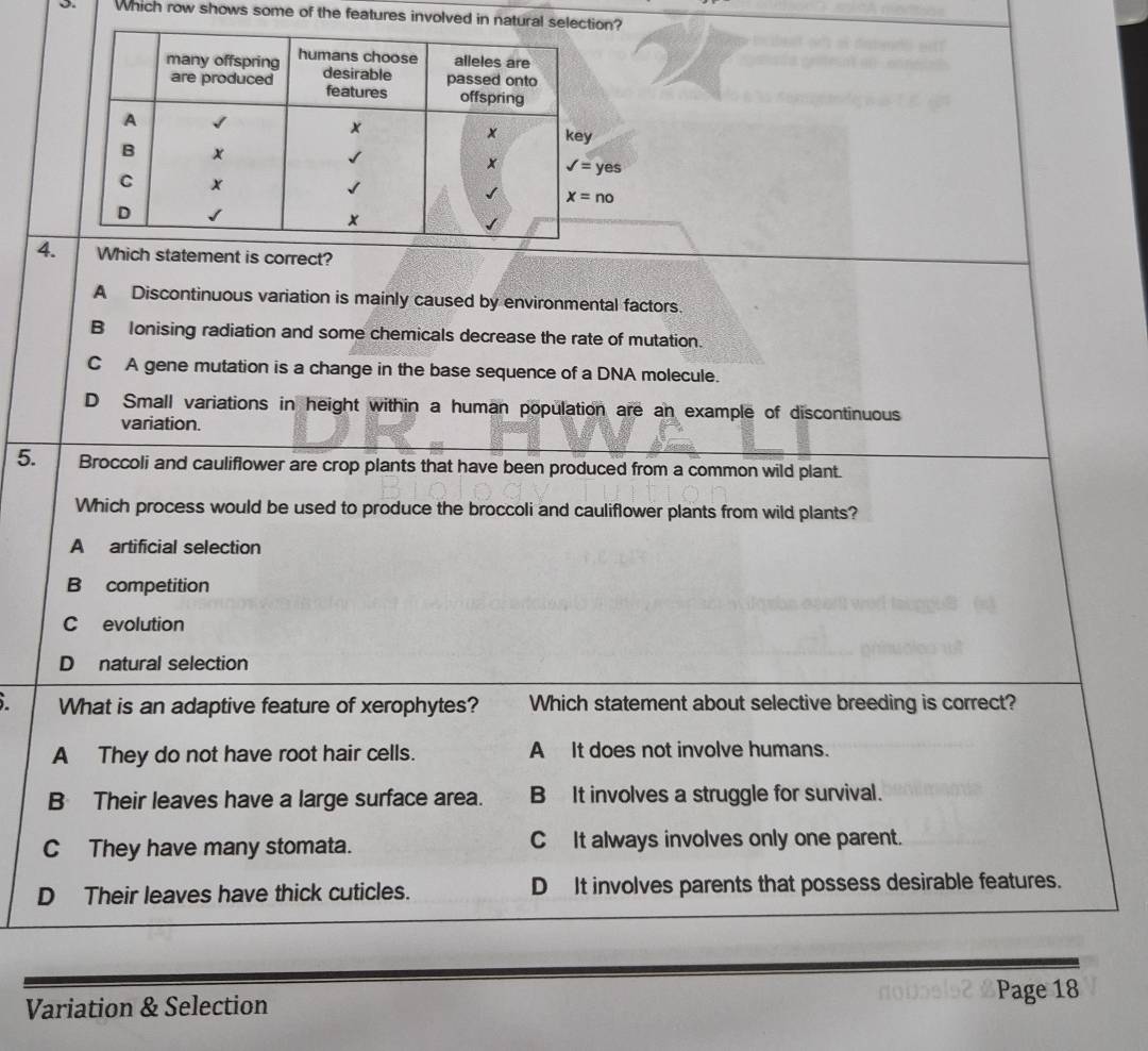 Which row shows some of the features involved in natural sel
4. Which statement is correct?
A Discontinuous variation is mainly caused by environmental factors.
B lonising radiation and some chemicals decrease the rate of mutation.
C A gene mutation is a change in the base sequence of a DNA molecule.
D Small variations in height within a human population are an example of discontinuous
variation.
5. Broccoli and cauliflower are crop plants that have been produced from a common wild plant.
Which process would be used to produce the broccoli and cauliflower plants from wild plants?
A artificial selection
B competition
C evolution
D natural selection
I What is an adaptive feature of xerophytes? Which statement about selective breeding is correct?
A They do not have root hair cells. A It does not involve humans.
B Their leaves have a large surface area. B It involves a struggle for survival.
C They have many stomata. C It always involves only one parent.
D Their leaves have thick cuticles. D It involves parents that possess desirable features.
Variation & Selection dodoe 92 £Page 18