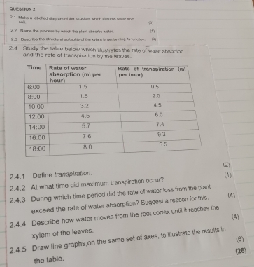 Maka a labefied dlagram of the structne which asorbs wate from
boěi
2. 2 Neme the process by which the plant ebeores wetr
2.3 Describe the svolaral suitablity of the xylam is parforning its functies. (4)
2.4 Study the table below which Wustrates the rate of water absonion
and the rate of transpiration by the leaves.
(2)
2.4.1 Define transpiration.
(1)
2.4.2 At what time did maximum transpiration occur?
2.4.3 During which time period did the rate of water loss from the plant
exceed the rate of water absorption? Suggest a reason for this. (4)
2.4.4 Describe how water moves from the root cortex untill it reaches the
(4)
xylem of the leaves.
(6)
2.4.5 Draw line graphs on the same set of axes, to illustrate the results in
the table. (26)