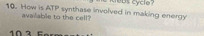 Krebs cycle? 
10. How is ATP synthase involved in making energy 
available to the cell?
10 ³