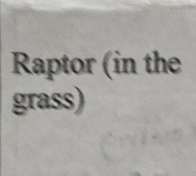 Raptor (in the 
grass)