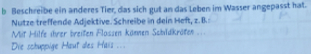 Beschreibe ein anderes Tier, das sich gut an das Leben im Wasser angepasst hat. 
Nutze treffende Adjektive. Schreibe in dein Heft, z. B.: 
Mit Hilfe ihrer breiten Flassen können Schildkröten ... 
Die schuppige Haut des Hais ...