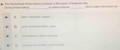 The Honeydough Bread factory produces 2,000 loaves of bread per day.
During bread making, _by yeast produces_ which makes the bread rise.
A water respiration, oxygen
C reconstitution, carbon monoxide
D alcoholic fermentation, carbon dioxide