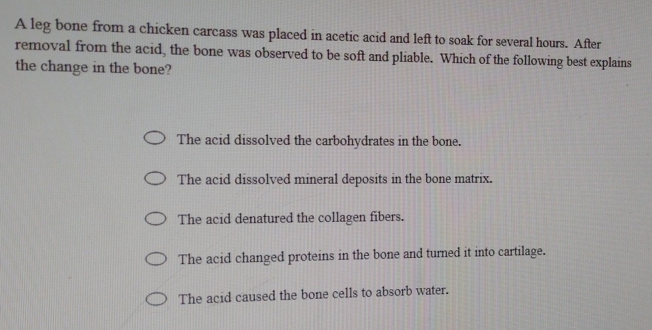 Solved: A leg bone from a chicken carcass was placed in acetic acid and ...