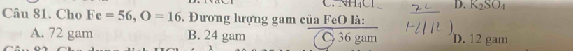 NH₄CL D. K_2SO_4
_
Câu 81. Cho Fe=56, O=16. Đương lượng gam của FeO là:
A. 72 gam B. 24 gam C 36 gam D. 12 gam