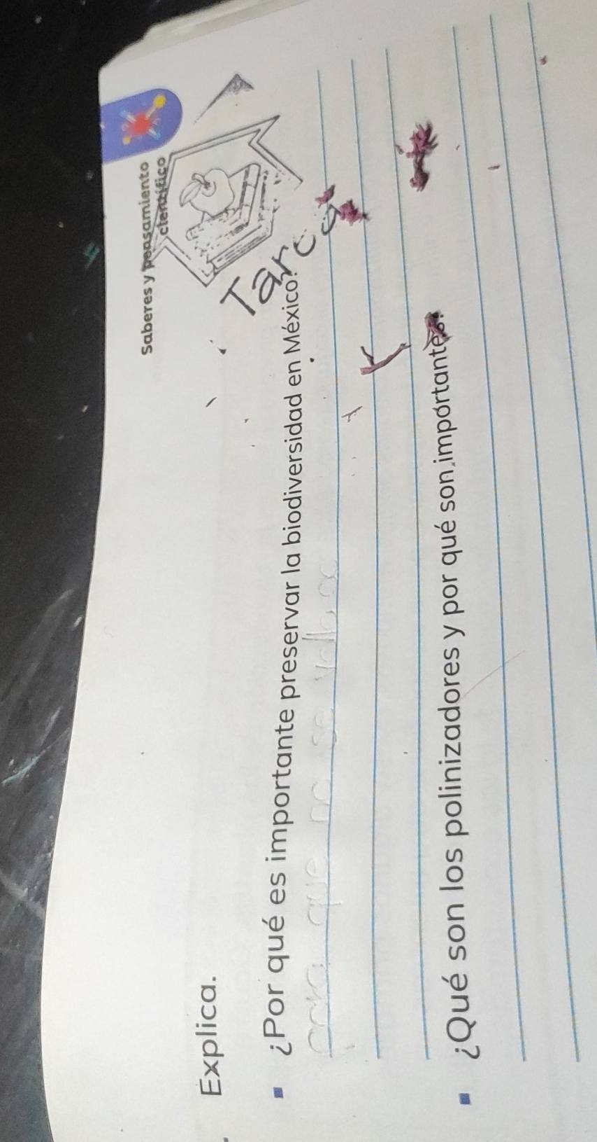 any 
Saberes y peasamiento 
clentífico 
Explica. 
¿Por qué es importante preservar la biodiversidad en México? 
_ 
_ 
_ 
_ 
_ 
¿Qué son los polinizadores y por qué son importantes 
_