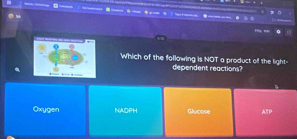 2S3F 43LJgoC0VP NgemolOK ZH ShVcf Ztgo 4 252F 2320 W6KNve 2 gg D
Set tomevertsl Classtuth Haly ● ga maih . Voe & Vekame C icl inattes are 2
30
ABe 
T792 9191
h/25
Which of the following is NOT a product of the light-
dependent reactions?
Oxygen NADPH Glucose ATP
