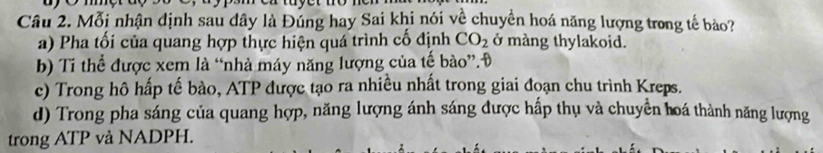 Mỗi nhận định sau dây là Đúng hay Sai khi nói về chuyền hoá năng lượng trong tế bào?
a) Pha tối của quang hợp thực hiện quá trình cố định CO_2 ở màng thylakoid.
b) Ti thể được xem là “nhà máy năng lượng của tế bào”.Đ
c) Trong hô hấp tế bào, ATP được tạo ra nhiều nhất trong giai đoạn chu trình Kreps.
d) Trong pha sáng của quang hợp, năng lượng ánh sáng được hấp thụ và chuyển hoá thành năng lượng
trong ATP và NADPH.