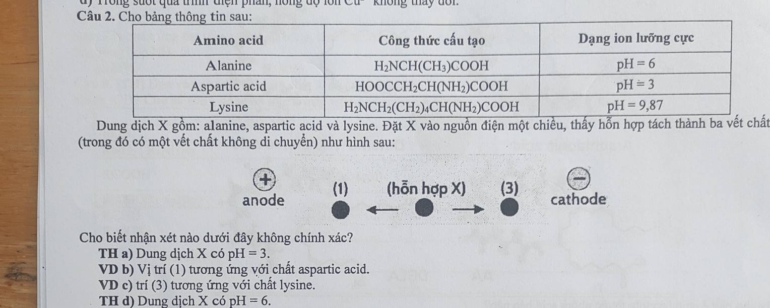 dy Trong suốt qua trình diện phân, hồng dộ lồn  Cu-' không tháy dôn'
C
Dung dịch X gồm: alanine, aspartic acid và lysine. Đặt X vào nguồn điện một chiều, thấy hỗn hợp tách thành ba vết t
(trong đó có một vết chất không di chuyển) như hình sau:
+
(1) (hỗn hợp X) (3)
anode cathode
Cho biết nhận xét nào dưới đây không chính xác?
TH a) Dung dịch X có pH =3.
VD b) Vị trí (1) tương ứng với chất aspartic acid.
VD c) trí (3) tương ứng với chất lysine.
TH d) Dung dịch Xc ó pH =6.