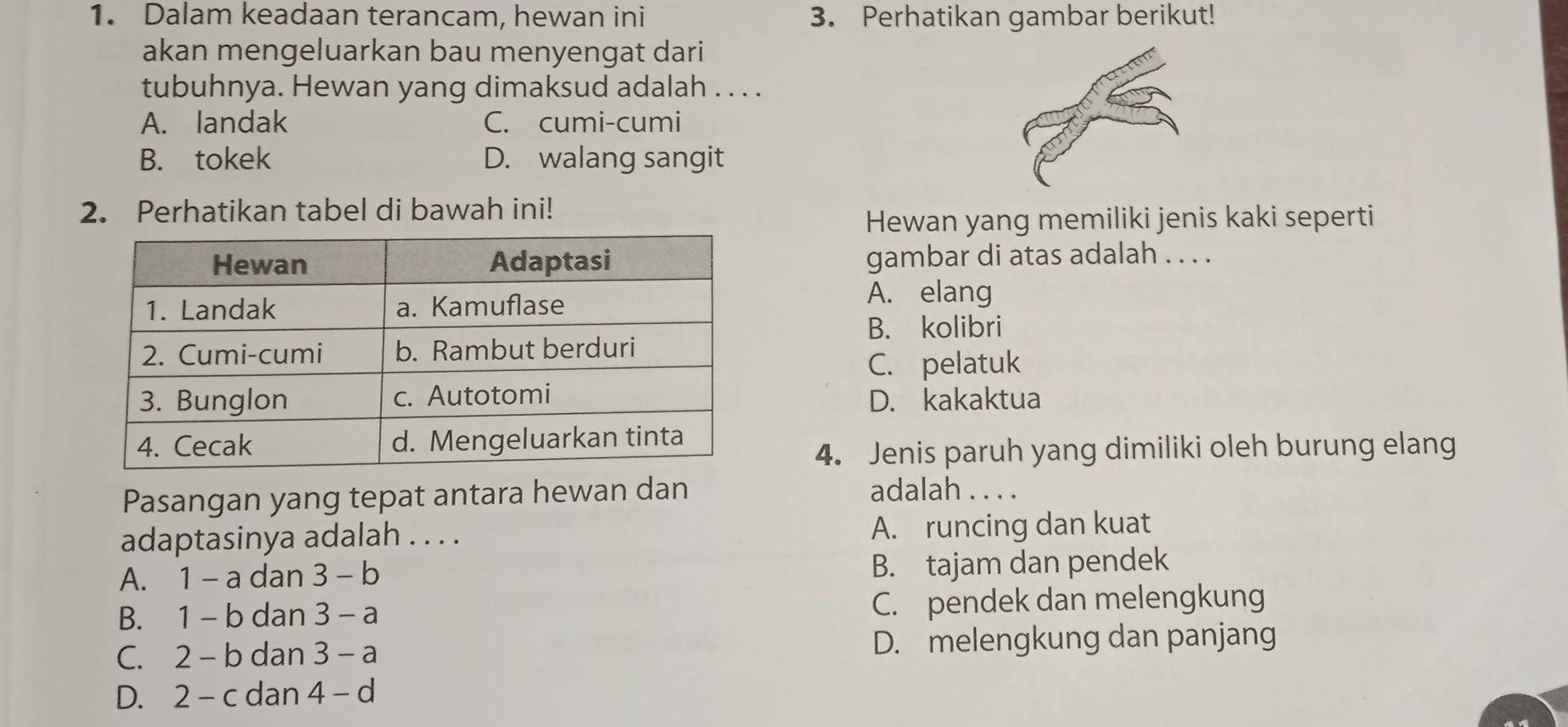 Dalam keadaan terancam, hewan ini 3. Perhatikan gambar berikut!
akan mengeluarkan bau menyengat dari
tubuhnya. Hewan yang dimaksud adalah . . . .
A. landak C. cumi-cumi
B. tokek D. walang sangit
2. Perhatikan tabel di bawah ini!
Hewan yang memiliki jenis kaki seperti
gambar di atas adalah . . . .
A. elang
B. kolibri
C. pelatuk
D. kakaktua
4. Jenis paruh yang dimiliki oleh burung elang
Pasangan yang tepat antara hewan dan
adalah . . . .
adaptasinya adalah . . . . A. runcing dan kuat
A. 1-a dan 3-b B. tajam dan pendek
B. 1-b dan 3-a C. pendek dan melengkung
C. 2-b dan 3-a D. melengkung dan panjang
D. 2-c dan 4-d