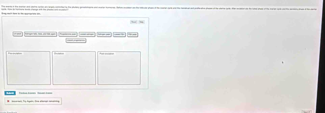 The events in the ovaian an uleins cies re arel otrole e he otr onooins n oris s lr oulaton r reoer as tea oa or atee en 
oycle. How do hormone levels change with the phases and ovulation? 
Dreg each item to the appropriate bin 
Reset H 
Exerogen fails, rises, and fate again Progesterone peak Loweat astrogen Esbrogen pesk Lowne FSH FSH pers 
Lowest progeseons 
Pre-ovulation Ovulattion Post-ovulation 
Submil redeus Arwers Pesvesl Amee 
X incorrect; Try Again; One attempt remaining