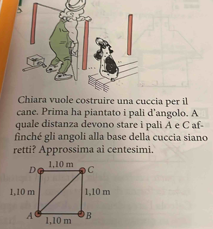 cane. Prima ha piantato i pali d’angolo. A 
quale distanza devono stare i pali A e C af- 
finché gli angoli alla base della cuccia siano 
retti? Approssima ai centesimi.