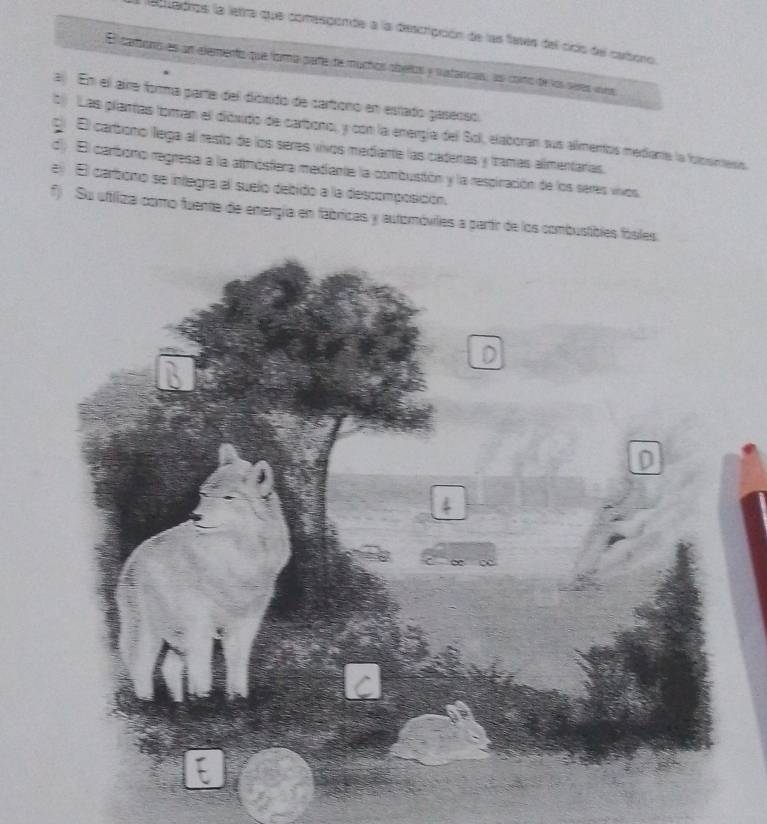 a adros la letra que comesponde a la descripción de las favs del cicio del carbono. 
E carioro es an elementa que formía para de muchos abellos y susfancas, as como de los seres vras 
a) En el aira forma parta del dióxido de cartsono en estado gasenso. 
t) Las plantas toman el dióxido de carbono, y con la energía del Soll, elaboran sus alimentos mediane la folbsness. 
g El carbono llega al resto de los seres vivos mediante las catenas y lzamas alimentarías. 
d) El carbono regresa a la atmósfera mediante la combustión y la respiración de los seres vivos 
e) El carbono se integra al suelo debido a la descomposición. 
f) Su uttliza como fuente de energía en fábricas y automóviles a partr de los combustibles fósiles.