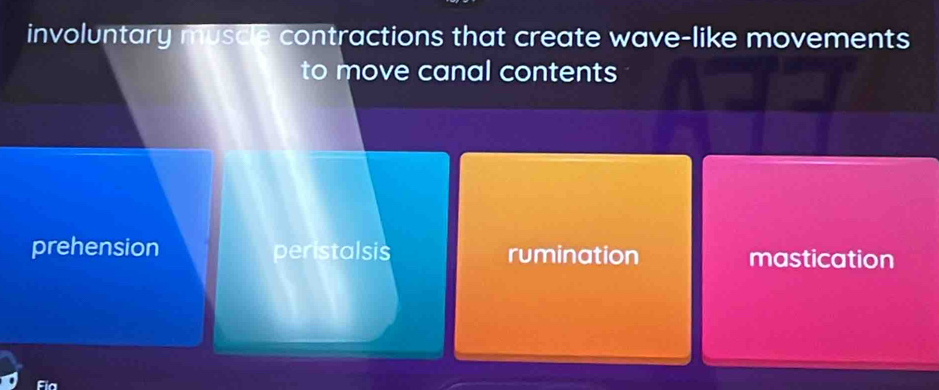 involuntary muscle contractions that create wave-like movements
to move canal contents
prehension peristalsis rumination mastication
Fia