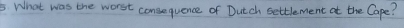What was the worst consunquence of Dutch settlement at the Cape?