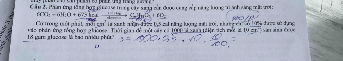 thuy phan cho san pham co phan tng trang gương? 
Câu 2. Phản ứng tổng hợp glucose trong cây xanh cần được cung cấp năng lượng từ ánh sáng mặt trời: 
6CO_2+6H_2O+673kcalxrightarrow inhsingC_6H_13O_6+6O_2 
Cứ trong một phút, mô 1cm^2 lá xanh nhận được 0,5 cal năng lượng mặt trời, nhưng chỉ có 10% được sử dụng 
vào phản ứng tổng hợp glucose. Thời gian để một cây có 1000 lá xanh (diện tích mỗi lá 10cm^2) sản sinh được 
a 18 gam glucose là bao nhiêu phút?