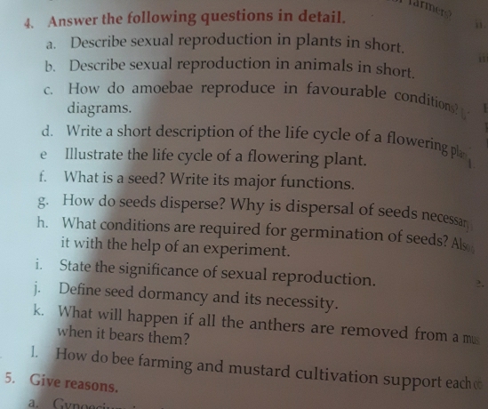 Answer the following questions in detail. 
ii. 
a. Describe sexual reproduction in plants in short. 
i 
b. Describe sexual reproduction in animals in short. 
c. How do amoebae reproduce in favourable conditions? 
diagrams. 
d. Write a short description of the life cycle of a flowering pla 
e Illustrate the life cycle of a flowering plant. 
f. What is a seed? Write its major functions. 
g. How do seeds disperse? Why is dispersal of seeds necessan 
h. What conditions are required for germination of seeds? Als 
it with the help of an experiment. 
i. State the significance of sexual reproduction. 
j. Define seed dormancy and its necessity. 
k. What will happen if all the anthers are removed from a mus 
when it bears them? 
l. How do bee farming and mustard cultivation support each 
5. Give reasons. 
a. Gynoeci