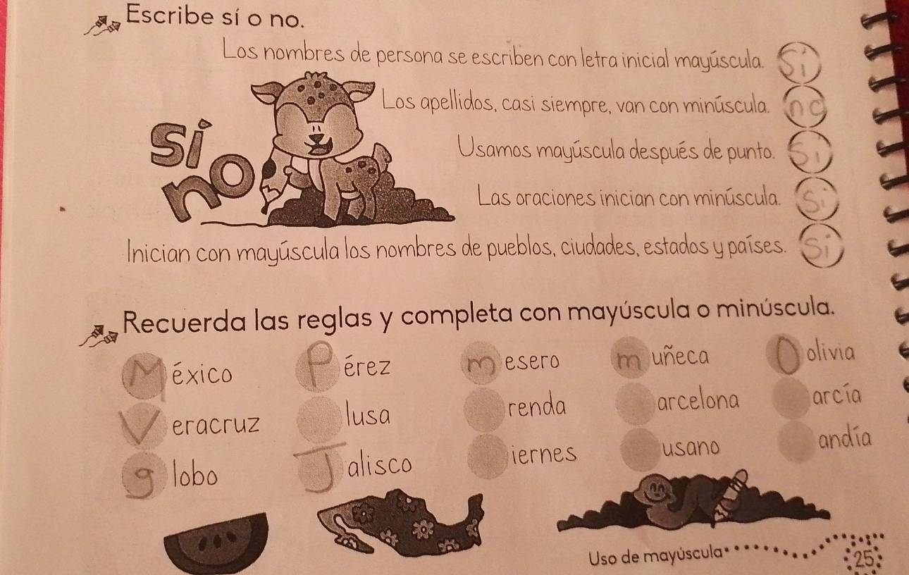 Escribe sí o no. 
Los nombres de persona se escriben con letra inicial mayúscula. 
os, casi siempre, van con minúscula. 
Usamos mayúscula después de punto. 
Las oraciones inician con minúscula. 
Inician con mayúscula los nombres de pueblos, ciudades, estados y países. Si 
Recuerda las reglas y completa con mayúscula o minúscula. 
M éxico érez M esero m uñeca 
olivia 
eracruz 
lusa renda arcelona arcía 
globo J alisco iernes 
usano andía 
* 
Uso de mayúscula 
25