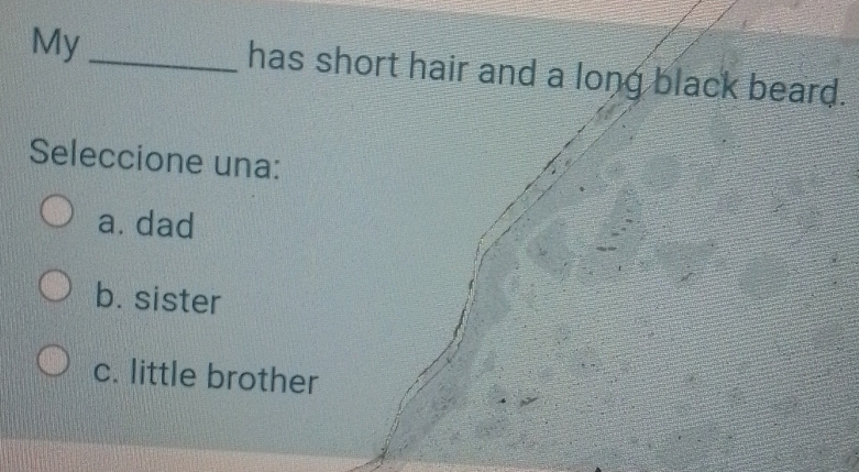 My _has short hair and a long black beard.
Seleccione una:
a. dad
b. sister
c. little brother