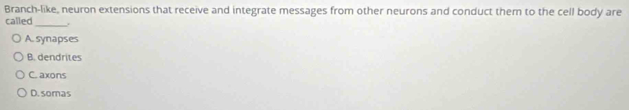 Branch-like, neuron extensions that receive and integrate messages from other neurons and conduct them to the cell body are
_
called .
A. synapses
B. dendrites
C. axons
D. somas