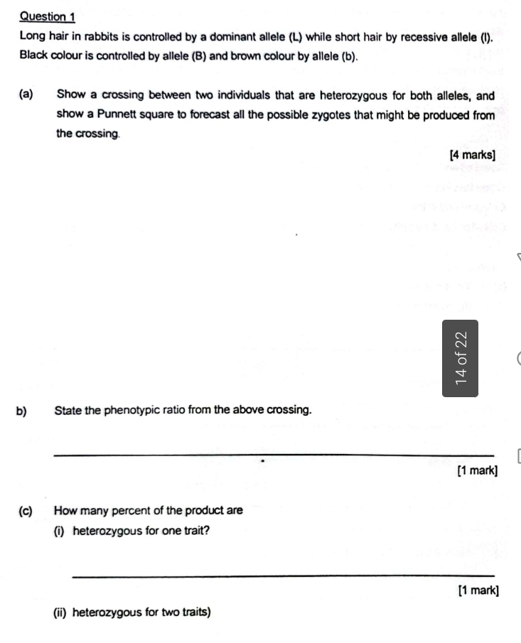 Long hair in rabbits is controlled by a dominant allele (L) while short hair by recessive allele (l). 
Black colour is controlled by allele (B) and brown colour by allele (b). 
(a) Show a crossing between two individuals that are heterozygous for both alleles, and 
show a Punnett square to forecast all the possible zygotes that might be produced from 
the crossing. 
[4 marks] 
b) State the phenotypic ratio from the above crossing. 
_ 
[1 mark] 
(c) How many percent of the product are 
(i) heterozygous for one trait? 
_ 
[1 mark] 
(ii) heterozygous for two traits)