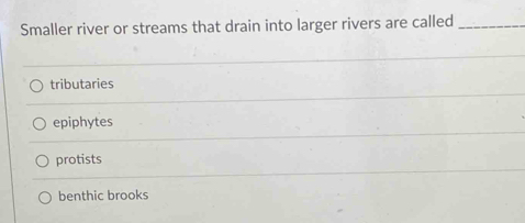 Smaller river or streams that drain into larger rivers are called_
tributaries
epiphytes
protists
benthic brooks