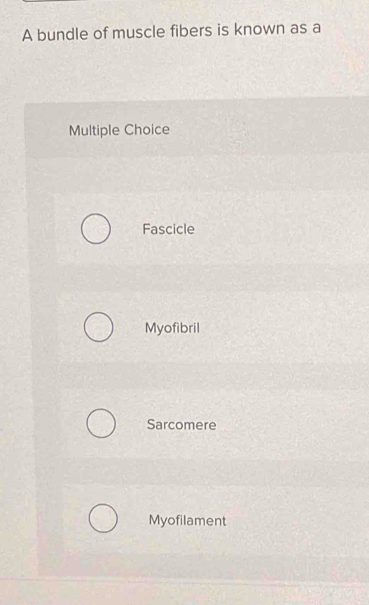 Solved: A bundle of muscle fibers is known as a Multiple Choice ...