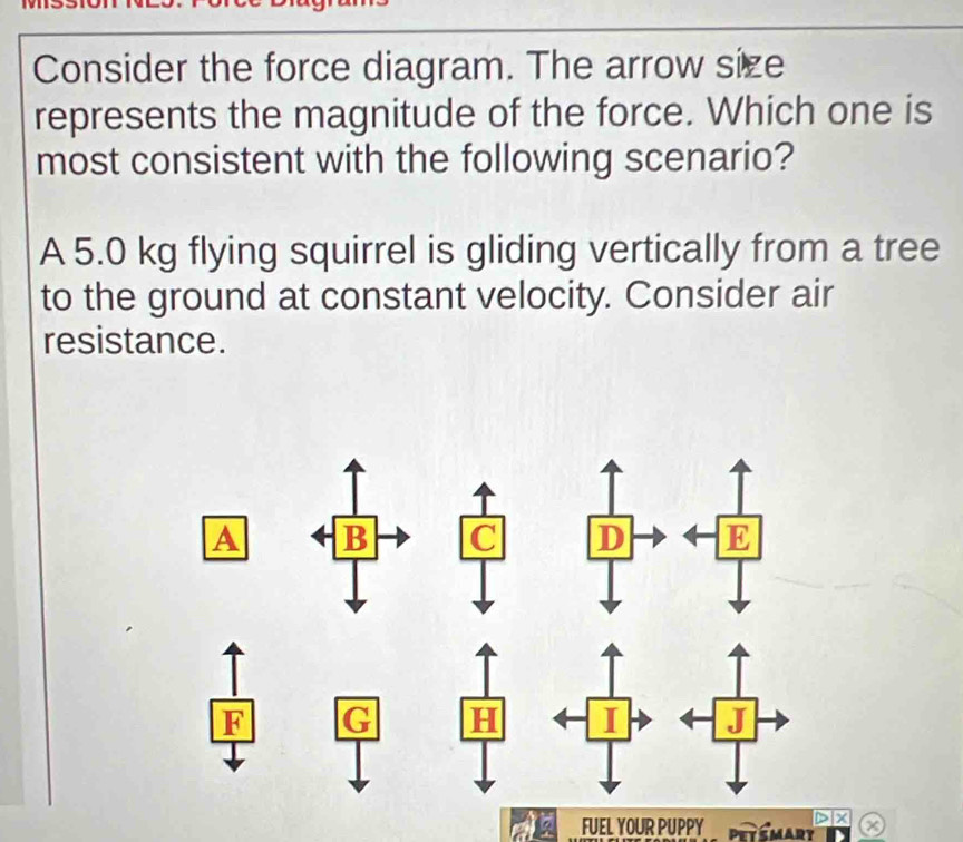 Consider the force diagram. The arrow size 
represents the magnitude of the force. Which one is 
most consistent with the following scenario? 
A 5.0 kg flying squirrel is gliding vertically from a tree 
to the ground at constant velocity. Consider air 
resistance. 
A B 
D E 

FUEL YOUR PUPPY D