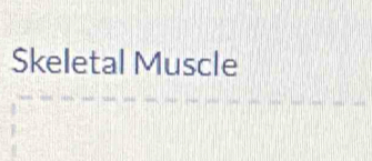 Skeletal Muscle