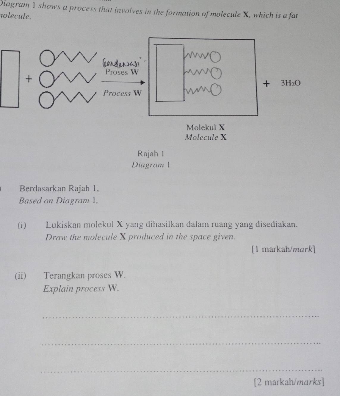 Diagram 1 shows a process that involves in the formation of molecule X, which is a fat
nolecule.
Berdasarkan Rajah 1,
Based on Diagram 1,
(i) Lukiskan molekul X yang dihasilkan dalam ruang yang disediakan.
Draw the molecule X produced in the space given.
[l markah/mark]
(ii) Terangkan proses W.
Explain process W.
_
_
_
[2 markah/marks]