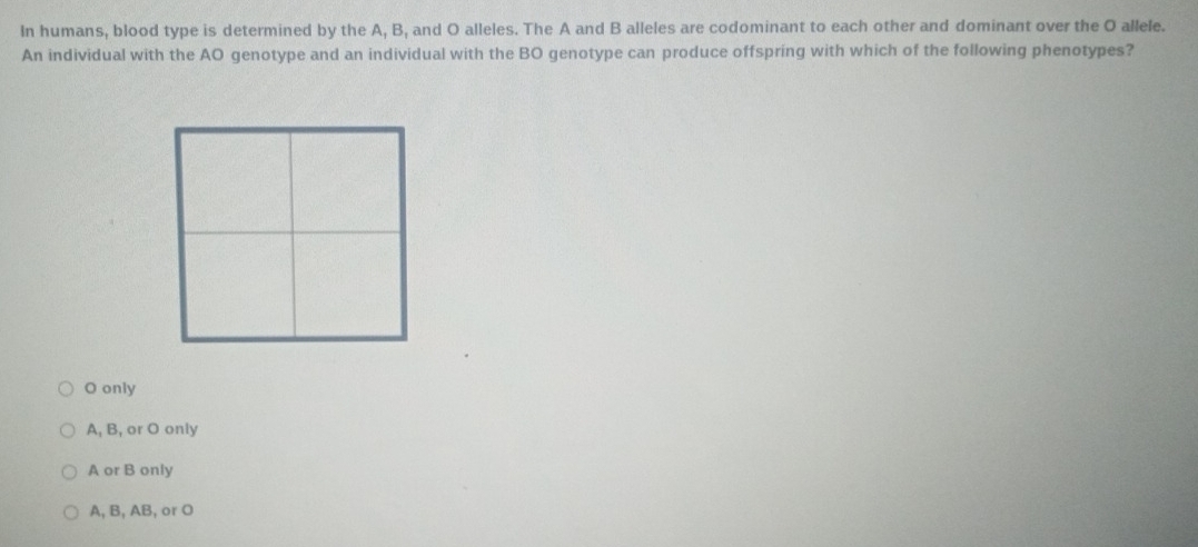 In humans, blood type is determined by the A, B, and O alleles. The A and B alleles are codominant to each other and dominant over the O allele.
An individual with the AO genotype and an individual with the BO genotype can produce offspring with which of the following phenotypes?
O only
A, B, or O only
A or B only
A, B, AB, or O