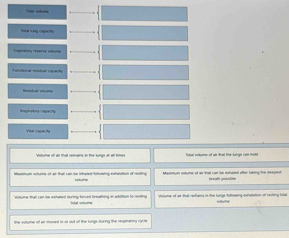 Tidal volume
Total lung capacity
Expiratory reserve volume
Functional residual capacity
Residual volume
Inspiratory capacity
Vital capacity
Volume of air that remains in the lungs at all times Total volume of air that the lungs can hold
Maximum volume of air that can be inhaled following exhalation of resting Maximum volume of air that can be exhaled after taking the deepest
volume breath possible
Volume that can be exhaled during forced breathing in addition to resting Volume of air that remains in the lungs following exhalation of resting tidal
tidal volume volume
the volume of air moved in or out of the lungs during the respiratory cycle