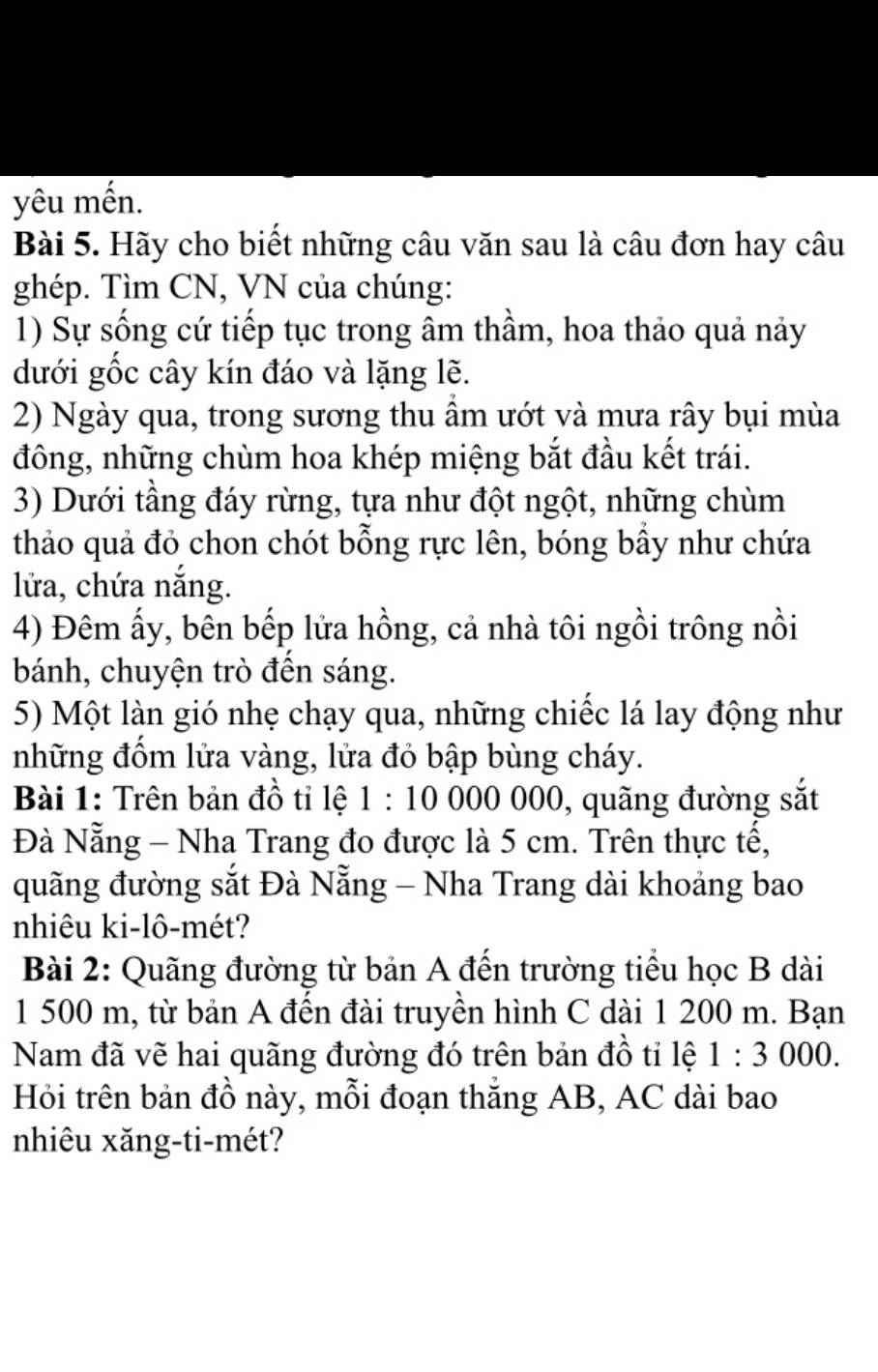 yêu mến. 
Bài 5. Hãy cho biết những câu văn sau là câu đơn hay câu 
ghép. Tìm CN, VN của chúng: 
1) Sự sống cứ tiếp tục trong âm thầm, hoa thảo quả nảy 
dưới gốc cây kín đáo và lặng lẽ. 
2) Ngày qua, trong sương thu âm ướt và mưa rây bụi mùa 
đông, những chùm hoa khép miệng bắt đầu kết trái. 
3) Dưới tầng đáy rừng, tựa như đột ngột, những chùm 
thảo quả đỏ chon chót bỗng rực lên, bóng bầy như chứa 
lửa, chứa nắng. 
4) Đêm ấy, bên bếp lửa hồng, cả nhà tôi ngồi trông nồi 
bánh, chuyện trò đến sáng. 
5) Một làn gió nhẹ chạy qua, những chiếc lá lay động như 
những đốm lửa vàng, lửa đỏ bập bùng cháy. 
Bài 1: Trên bản đồ tỉ lệ 1:10 000 000, quãng đường sắt 
Đà Nẵng - Nha Trang đo được là 5 cm. Trên thực tế, 
quãng đường sắt Đà Nẵng - Nha Trang dài khoảng bao 
nhiêu ki-lô-mét? 
Bài 2: Quãng đường từ bản A đến trường tiểu học B dài
1 500 m, từ bản A đến đài truyền hình C dài 1 200 m. Bạn 
Nam đã vẽ hai quãng đường đó trên bản đồ tỉ lệ 1:3000. 
Hỏi trên bản đồ này, mỗi đoạn thắng AB, AC dài bao 
nhiêu xăng-ti-mét?