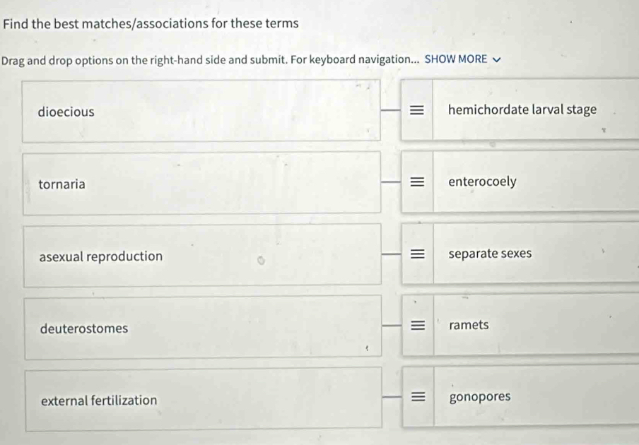 Find the best matches/associations for these terms
Drag and drop options on the right-hand side and submit. For keyboard navigation... SHOW MORE
dioecious hemichordate larval stage
tornaria enterocoely
asexual reproduction = separate sexes
≡
deuterostomes ramets
external fertilization gonopores