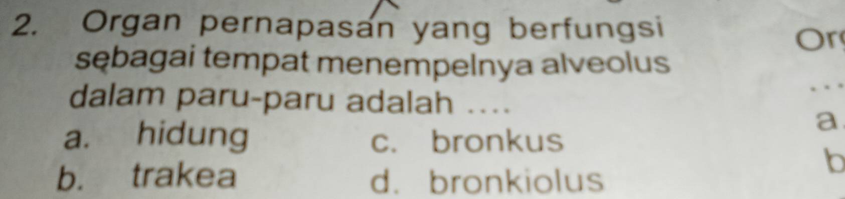 Organ pernapasan yang berfungsi
Or
sębagai tempat menempelnya alveolus
dalam paru-paru adalah ....
a
a. hidung c. bronkus
b. trakea d. bronkiolus
b