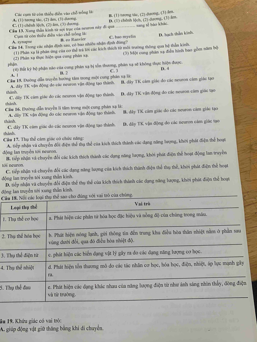 Các cụm từ còn thiếu điền vào chỗ trống là:
A. (1) tương tác, (2) âm, (3) dương. B. (1) tương tác, (2) dương, (3) âm.
C. (1) chênh lệch, (2) âm, (3) dương. D. (1) chênh lệch, (2) dương, (3) âm.
Câu 13. Xung thần kinh từ sợi trục của neuron này đi qua .. sang tế bào khác.
Cụm từ còn thiếu điền vào chỗ trống là:
A. synapse B. eo Ranvier C. bao myelin D. hạch thần kinh.
Câu 14. Trong các nhận định sau, có bao nhiêu nhận định đúng?
(1) Phản xạ là phản ứng của cơ thể trả lời các kích thích từ môi trường thông qua hệ thần kinh.
(2) Phản xạ thực hiện qua cung phản xạ. (3) Một cung phản xạ diễn hình bao gồm năm bộ
phận.
(4) Bất kỳ bộ phận nào của cung phản xạ bị tổn thương, phản xạ sẽ không thực hiện được.
A. 1 B. 2 C. 3
D. 4
Câu 15. Đường dẫn truyền hướng tâm trong một cung phản xạ là:
A. dây TK vận động do các neuron vận động tạo thành. B. dây TK cảm giác do các neuron cảm giác tạo
thành.
C. dây TK cảm giác do các neuron vận động tạo thành. D. dây TK vận động do các neuron cảm giác tạo
thành.
Câu 16. Đường dẫn truyền li tâm trong một cung phản xạ là:
A. dây TK vận động do các neuron vận động tạo thành. B. dây TK cảm giác do các neuron cảm giác tạo
thành.
C. dây TK cảm giác do các neuron vận động tạo thành. D. dây TK vận động do các neuron cảm giác tạo
thành.
Câu 17. Thụ thể cảm giác có chức năng:
A. tiếp nhận và chuyển đổi điện thế thụ thể của kích thích thành các dạng năng lượng, khởi phát điện thế hoạt
động lan truyền tới neuron.
B. tiếp nhận và chuyển đổi các kích thích thành các dạng năng lượng, khởi phát điện thế hoạt động lan truyền
tới neuron.
C. tiếp nhận và chuyển đổi các dạng năng lượng của kích thích thành điện thế thụ thể, khởi phát điện thế hoạt
động lan truyền tới xung thần kinh.
D. tiếp nhận và chuyển đổi điện thế thụ thể của kích thích thành các dạng năng lượng, khởi phát điện thể hoạt
động lan truyền tới xung thần kinh.
Cng.
1
2.
3.
4. 
5. 
âu 19. Khứu giác có vai trò:
A. giúp động vật giữ thăng bằng khi di chuyển.