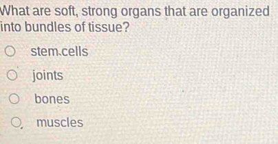 Solved: What are soft, strong organs that are organized into bundles of ...
