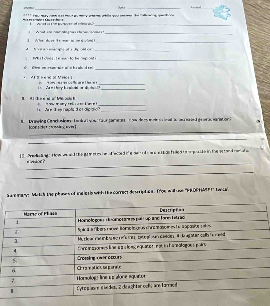 Name_ Date_ Period_ 
You may now eat your gummy worms while you answer the following questions 
Assessment Questions: 
1. What is the purpose of Meiosis?_ 
2. What are homologous chromosomes?_ 
3. What does it mean to be diploid?_ 
4. Give an example of a diploid cell_ 
5. What does it mean to be haploid?_ 
6. Give an example of a haploid cell_ 
7. At the end of Meiosis I 
a. How many cells are there?_ 
b. Are they haploid or diploid?_ 
8 At the end of Meiosis II 
a. How many cells are there?_ 
b. Are they haploid or diploid?_ 
9. Drawing Conclusions: Look at your four gametes. How does meiosis lead to increased genetic variation? 
_ 
(consider crossing over) 
_ 
10. Predicting: How would the gametes be affected if a pair of chromatids failed to separate in the second meiotic 
_ 
division? 
_ 
Summary: Match the phases of meiosis with the correct description. (You will use “PROPHASE I” twice!