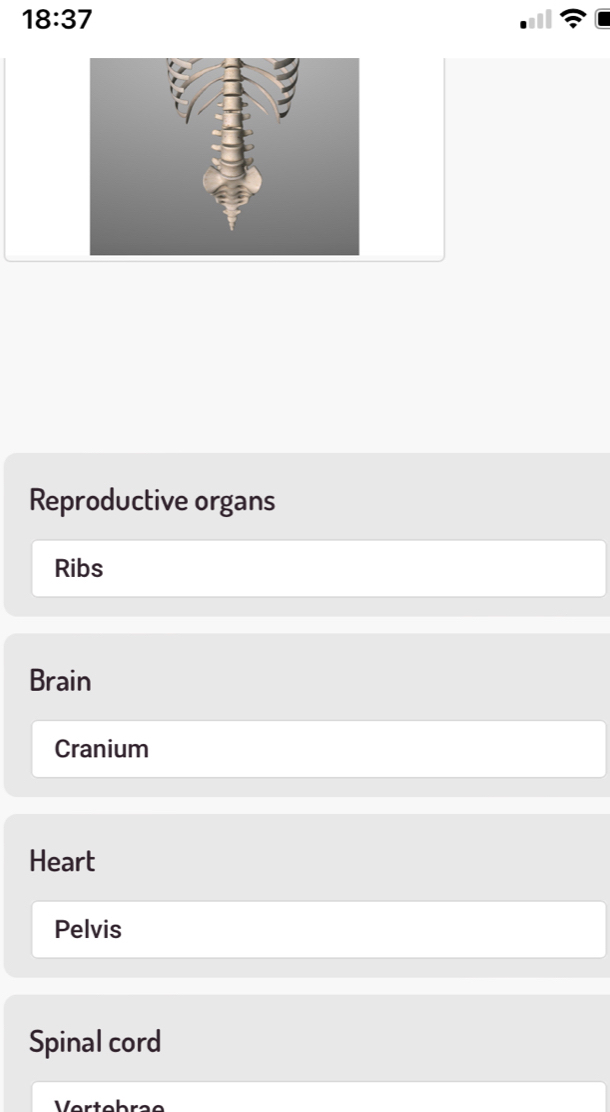 18:37
Reproductive organs
Ribs
Brain
Cranium
Heart
Pelvis
Spinal cord