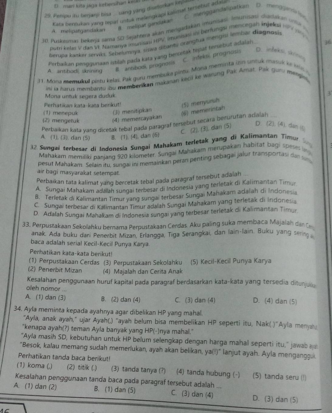 D. mari kita jaga kebersihan kélas 
29. Penipu itu berjanji bisa ... uang yang disetorkan kepe
C menggandalipatkan D. mengganda lios
Kata bentukan yang tepat untuk melengkapi kalimat tersebut adalan
A. melipatgandakan B. melipat gandakan
30. Puskesmas bekerja sama SD Sejahtera akán mengadakan imunisasi: Imunisasi diadakan unlik  
putri kelas V dan VI. Namanya imunisasi HPV, imunisasi ini berfungsi mencegah injeksi HPV Y g 
berupa kanker serviks, Sebelumnya, siswa dibantu orangtua mengisi lembar diagnosis
Perbaikan penggunaan istilah pada kata yang bercetak tepat tersebut adaiah.
36
C. infeksi, prognasis D. infeksi, skrining
A. antibodi, skrining B. antibodi, prognosis
31. Mona memukul pintu kelas. Pak guru membuka pintu. Mona meminta izin untuk masuk ke re 
ini ia harus membantu ibu memberikan makanan kecil ke warung Pak Amat. Pak guru mengin
Mona untuk segera duduk.
3
Perhatikan kata-kata berikut!
(5) menyuruh
(1) menepuk
(3) menitipkan
(6) memerintah
(2) mengetuk
(4) memercayakan
Perbaikan kata yang dicetak tebal pada paragraf tersebut secara berurutan adalan
C. (2), (3), dan (5) D. (2), (4), dan (ξ
A. (1), (3), dan (5) B. (1) (4), dan (6)
32. Sungai terbesar di Indonesia Sungai Mahakam terletak yang di Kalimantan Timur 
Mahakam memiliki panjang 920 kilometer. Sungai Mahakam merupakan habitat bagi speses lang
pesut Mahakam. Selain itu, sungai ini memainkan peran penting sebagai jalur transportasi dan sm
air bagi masyarakat setempat.
Perbaikan tata kalimat yang bercetak tebal pada paragraf tersebut adalah ...
A. Sungai Mahakam adalah sungai terbesar di Indonesia yang terletak di Kalimantan Timur
B. Terletak di Kalimantan Timur yang sungai terbesar Sungai Mahakam adalah di Indonesia
C. Sungai terbesar di Kalimantan Timur adalah Sungai Mahakam yang terletak di Indonesia
D. Adalah Sungai Mahakam di Indonesia sungai yang terbesar terletak di Kalimantan Timur
33. Perpustakaan Sekolahku bernama Perpustakaan Cerdas. Aku paling suka membaca Majalah da C
anak. Ada buku dari Penerbit Mizan, Erlangga, Tiga Serangkai, dan lain-lain. Buku yang sering a
baca adalah serial Kecil-Kecil Punya Karya
Perhatikan kata-kata berikut!
(1) Perpustakaan Cerdas (3) Perpustakaan Sekolahku (5) Kecil-Kecil Punya Karya
(2) Penerbit Mizan (4) Majalah dan Cerita Anak
Kesalahan penggunaan huruf kapital pada paragraf berdasarkan kata-kata yang tersedia ditunjuka
oleh nomor ...
A. (1) dan (3) B. (2) dan (4) C. (3) dan (4)
D. (4) dan (5)
34. Ayla meminta kepada ayahnya agar dibelikan HP yang mahal.
“Ayla, anak ayah,” ujar Ayah(,) “ayah belum bisa membelikan HP seperti itu, Nak(.)"Ayla menyah
“kenapa ayah(?) teman Ayla banyak yang HP(-)nya mahal.”
"Ayla masih SD, kebutuhan untuk HP belum selengkap dengan harga mahal seperti itu," jawab  
“Besok, kalau memang sudah memerlukan, ayah akan belikan, ya(!)” lanjut ayah. Ayla menganggu
Perhatikan tanda baca berikut!
(1) koma (,) (2) titik (.) (3) tanda tanya (?) (4) tanda hubung (-) (5) tanda seru (!)
Kesalahan penggunaan tanda baca pada paragraf tersebut adalah ...
A. (1) dan (2) B. (1) dan (5) C. (3) dan (4) D. (3) dan (5)